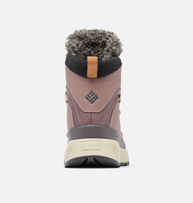 Columbia Red Hills Omni Heat Women's Boots Brown | SUJGWO-256