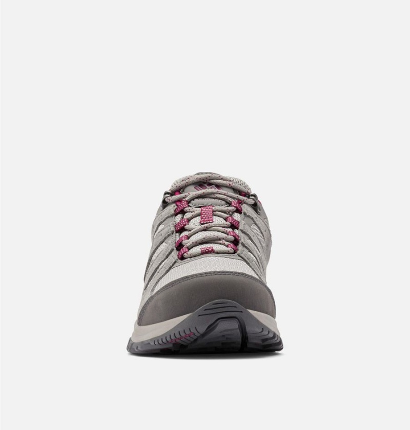 Columbia Redmond III Low Waterproof Women's Hiking Shoes Grey | YRJMPZ-754