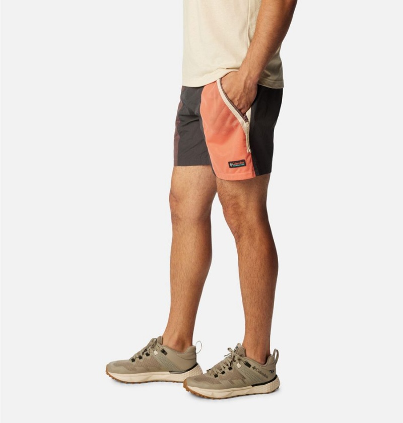Columbia Riptide Retro Men's Shorts Grey | HYASBR-210