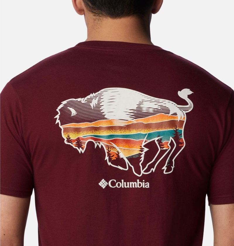 Columbia Rusher Graphic Men's T-Shirt Burgundy | OJNPQA-784