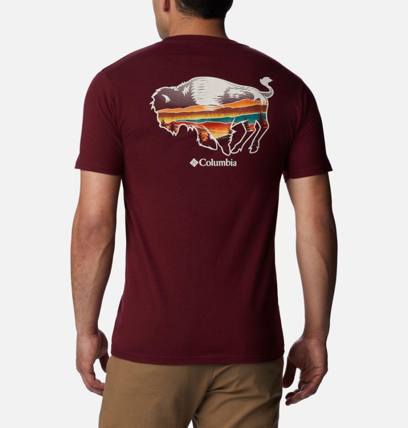 Columbia Rusher Graphic Men\'s T-Shirt Burgundy | OJNPQA-784