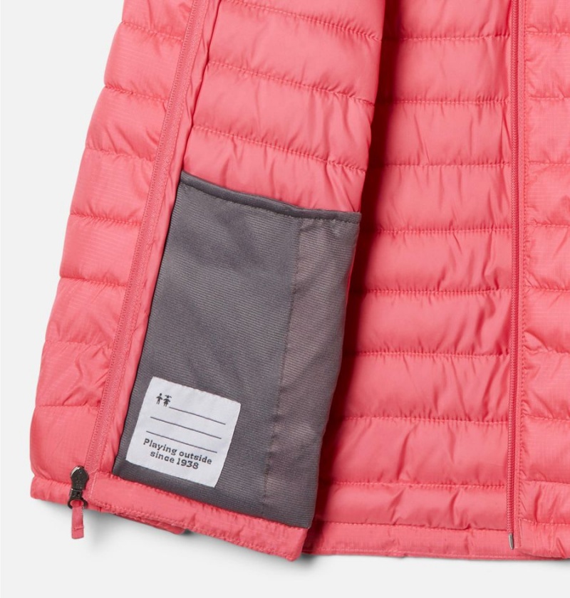 Columbia Silver Falls Hooded Kids' Jacket Pink | IEHYLX-941