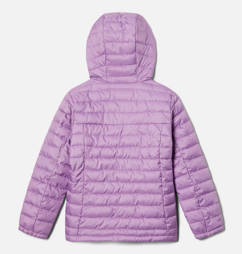 Columbia Silver Falls Hooded Kids' Jacket Purple | LFKVGN-501