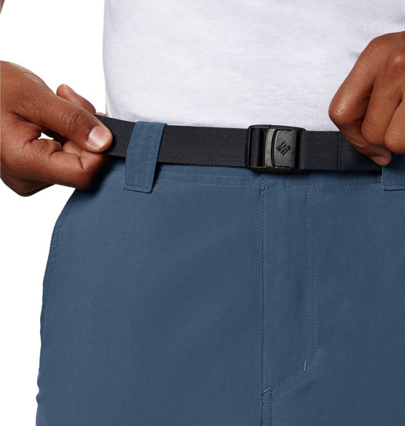 Columbia Silver Ridge Cargo Men's Pants Blue | REJDVA-489