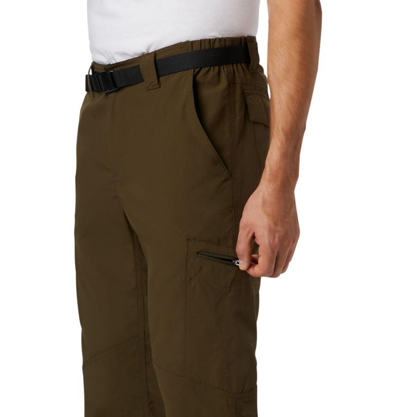 Columbia Silver Ridge Cargo Men's Pants Brown | PALMOR-932