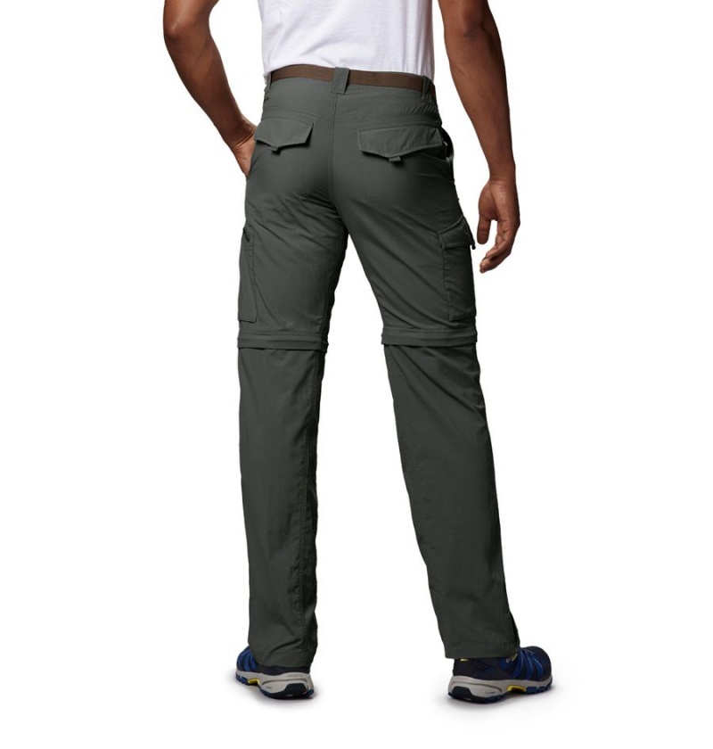 Columbia Silver Ridge Convertible Men's Pants Grey | UBGRHT-756