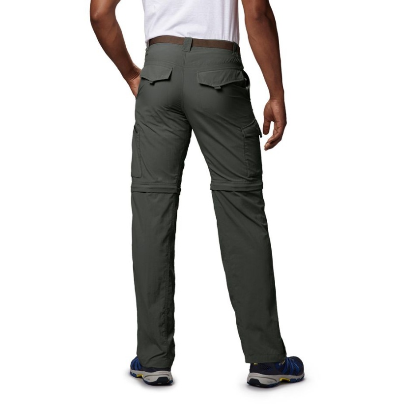 Columbia Silver Ridge Convertible Men's Pants Grey | UBGRHT-756