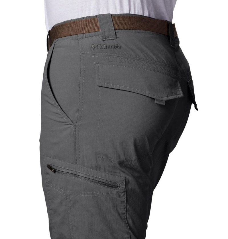 Columbia Silver Ridge Convertible Men's Pants Grey | MEFWXL-857