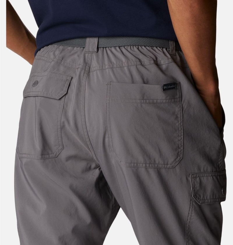 Columbia Silver Ridge Utility Men's Pants Grey | BUEYTX-510