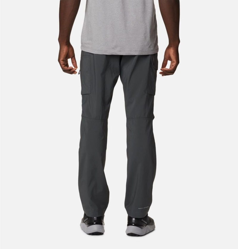 Columbia Silver Ridge Utility Men's Pants Grey | EUHBWV-503