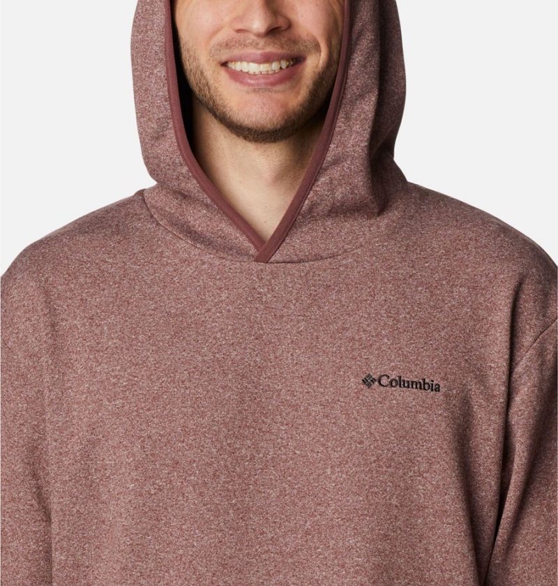 Columbia Stone Canyon Men's Hoodie Brown | JVBKQZ-685