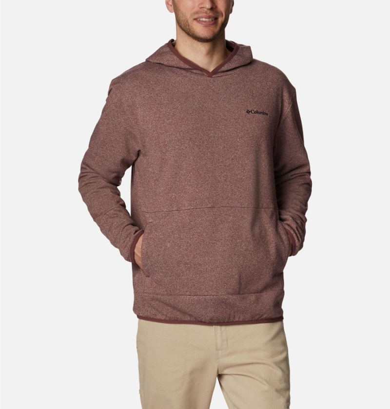 Columbia Stone Canyon Men's Hoodie Brown | JVBKQZ-685