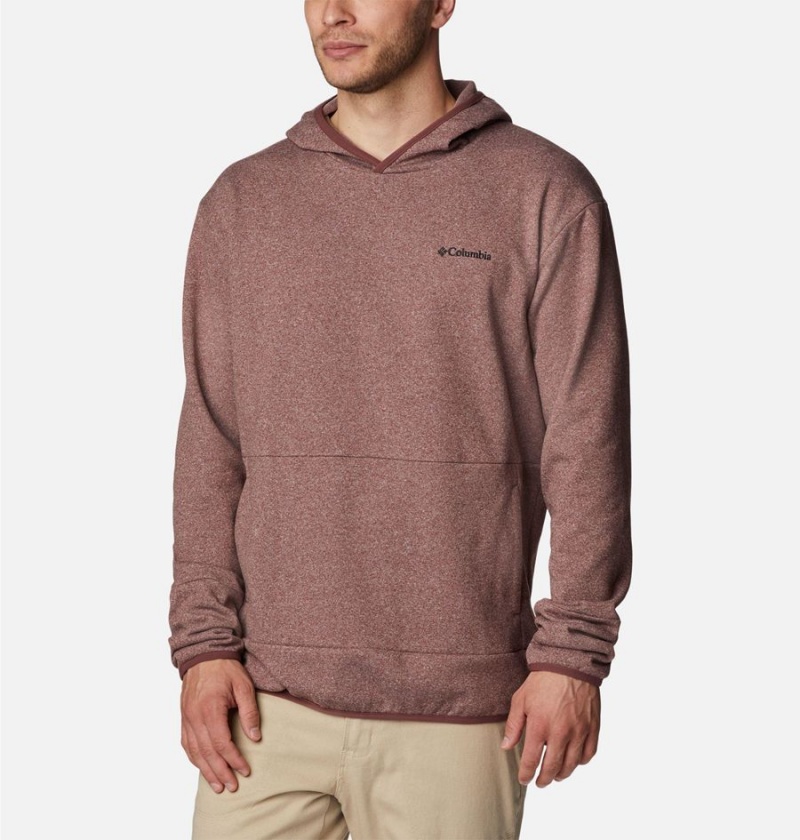 Columbia Stone Canyon Men\'s Hoodie Brown | JVBKQZ-685