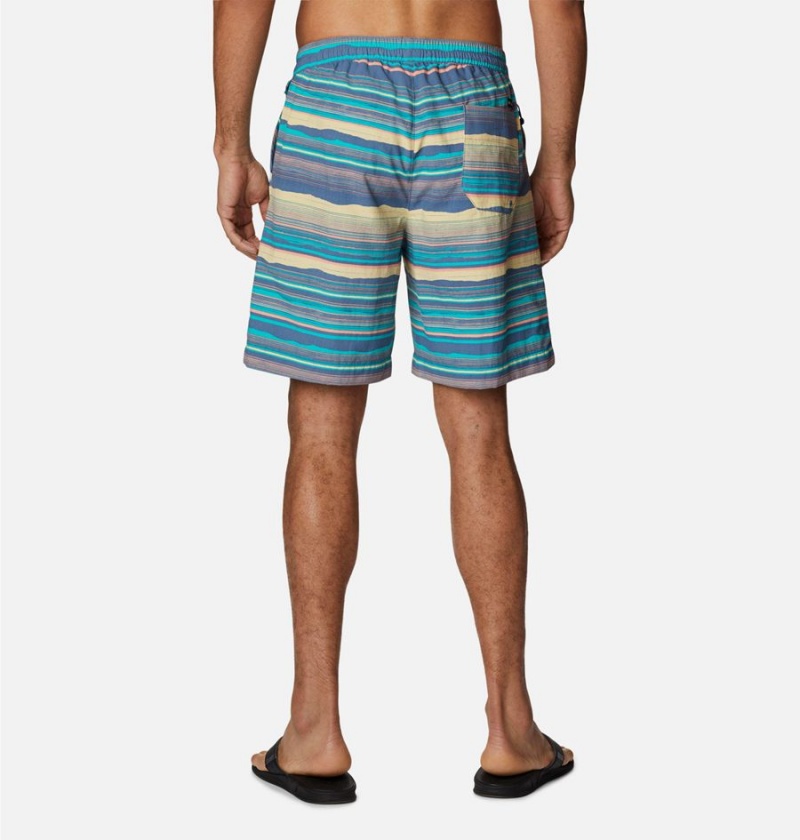 Columbia Summerdry Men's Shorts Multicolor | UTHNBX-721