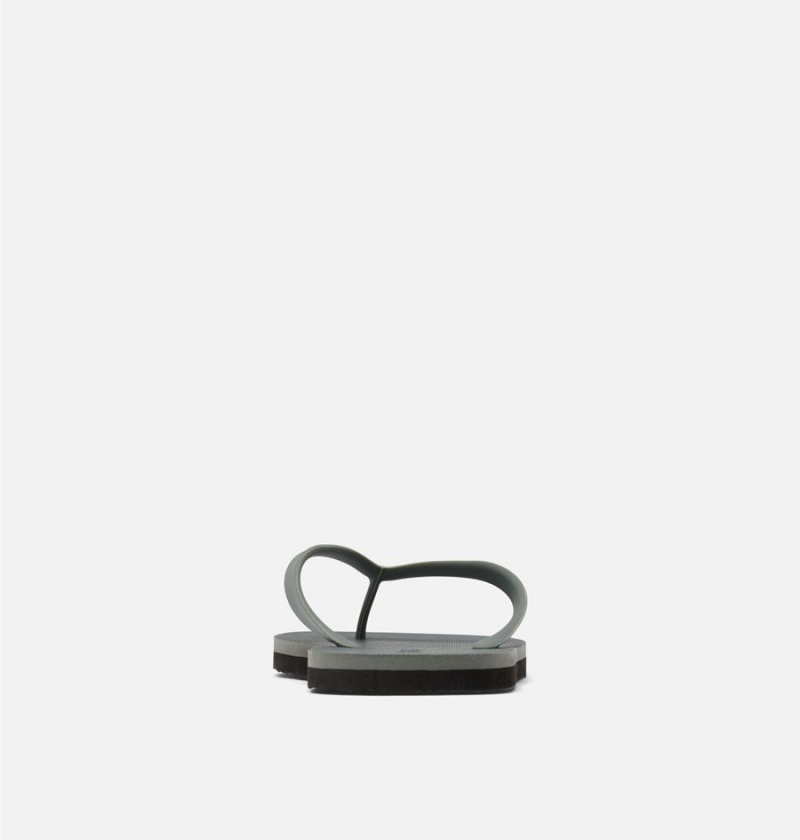 Columbia Sun Trek Flip Flop Men's Sandals Grey | EWAYQL-491