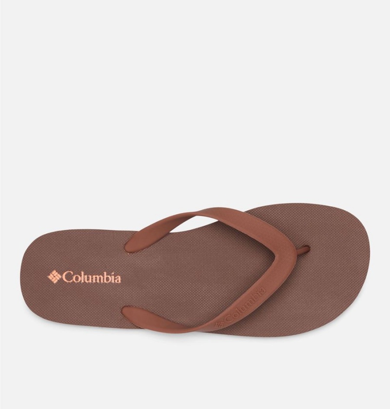 Columbia Sun Trek Flip Flop Men's Sandals Brown | ZQFLGK-968
