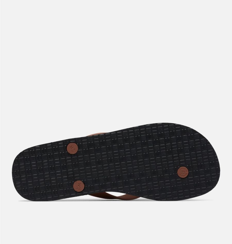 Columbia Sun Trek Flip Flop Men's Sandals Brown | ZQFLGK-968