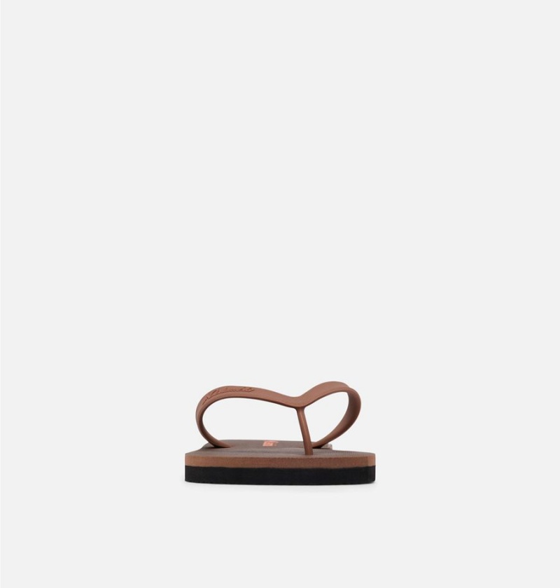 Columbia Sun Trek Flip Flop Men's Sandals Brown | ZQFLGK-968