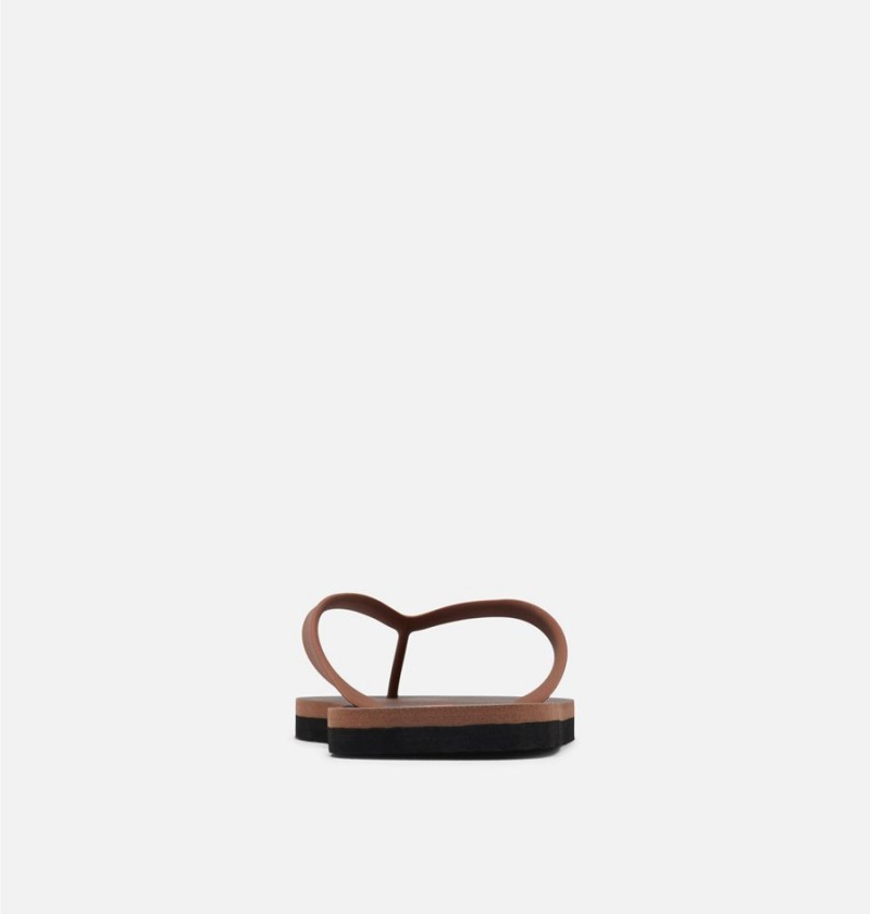 Columbia Sun Trek Flip Flop Men's Sandals Brown | ZQFLGK-968