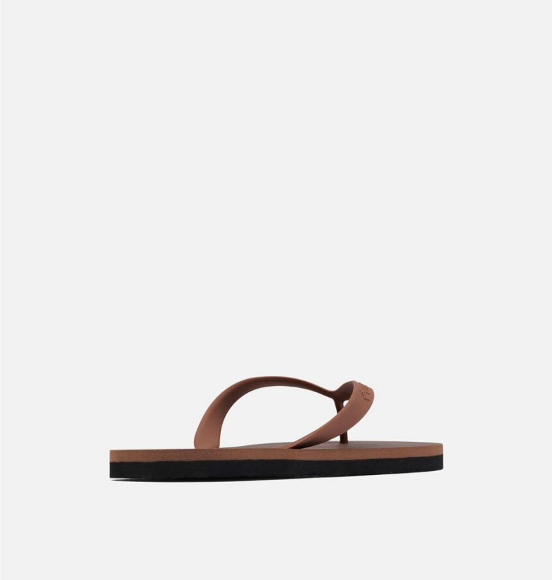 Columbia Sun Trek Flip Flop Men's Sandals Brown | ZQFLGK-968