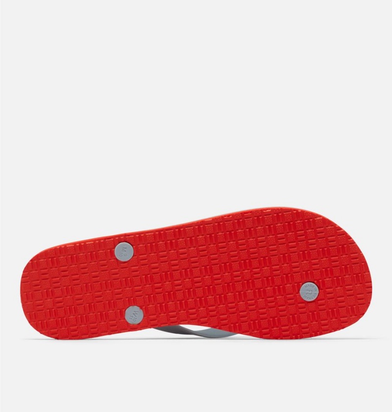 Columbia Sun Trek Flip Flop Men's Sandals Red | COBGJS-749