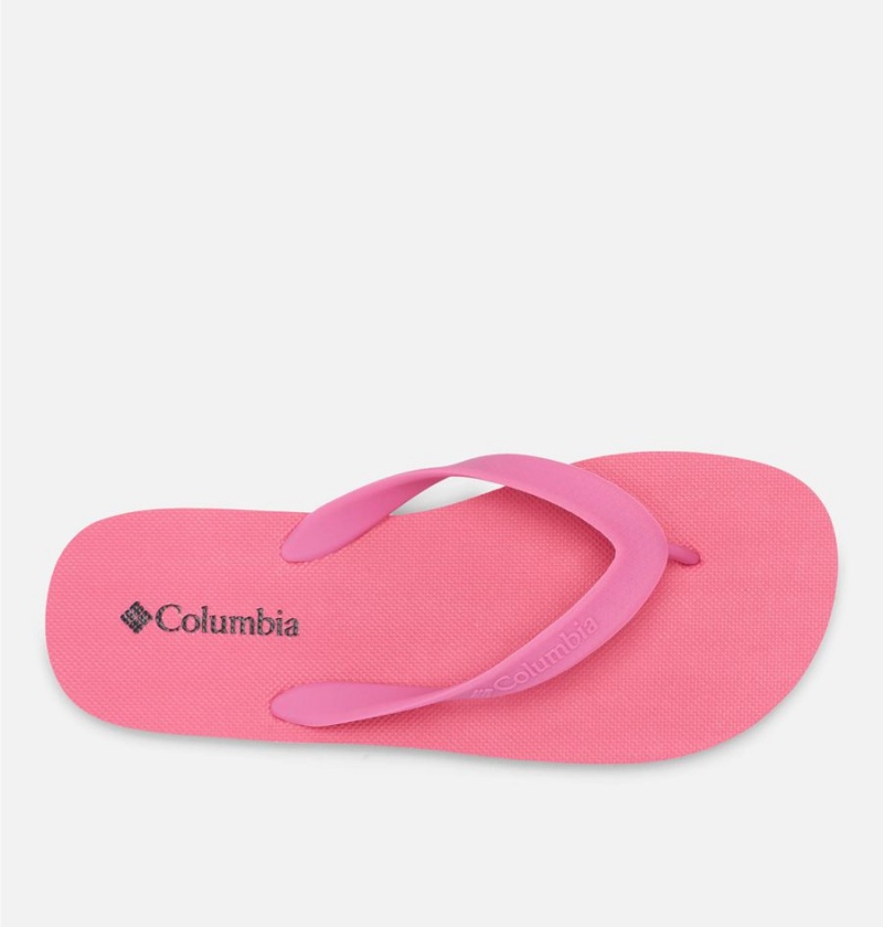 Columbia Sun Trek Flip Flop Women's Sandals Pink | ZLXCOA-937