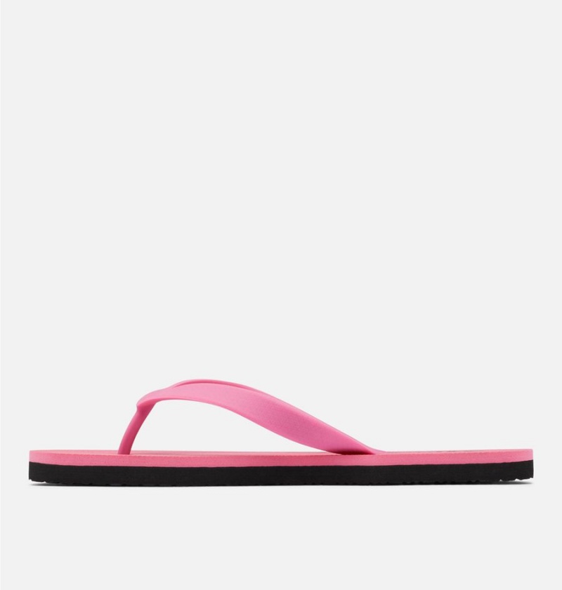 Columbia Sun Trek Flip Flop Women's Sandals Pink | ZLXCOA-937