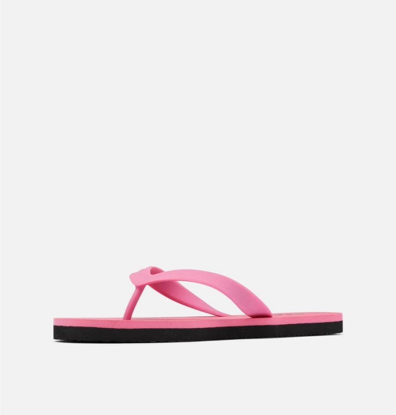 Columbia Sun Trek Flip Flop Women's Sandals Pink | ZLXCOA-937