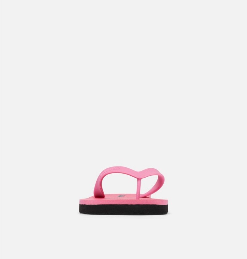 Columbia Sun Trek Flip Flop Women's Sandals Pink | ZLXCOA-937
