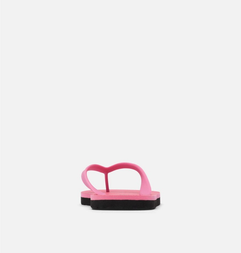 Columbia Sun Trek Flip Flop Women's Sandals Pink | ZLXCOA-937