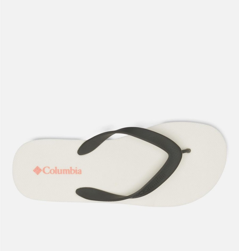 Columbia Sun Trek Flip Flop Women's Sandals White | DYQLBA-087