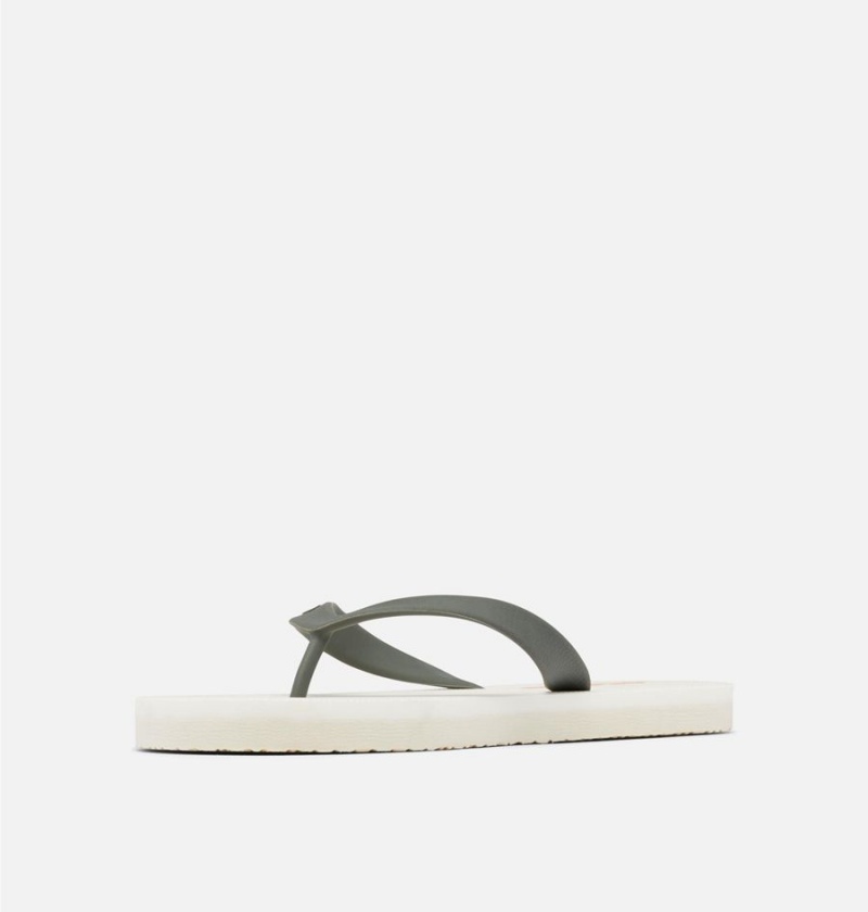 Columbia Sun Trek Flip Flop Women's Sandals White | DYQLBA-087
