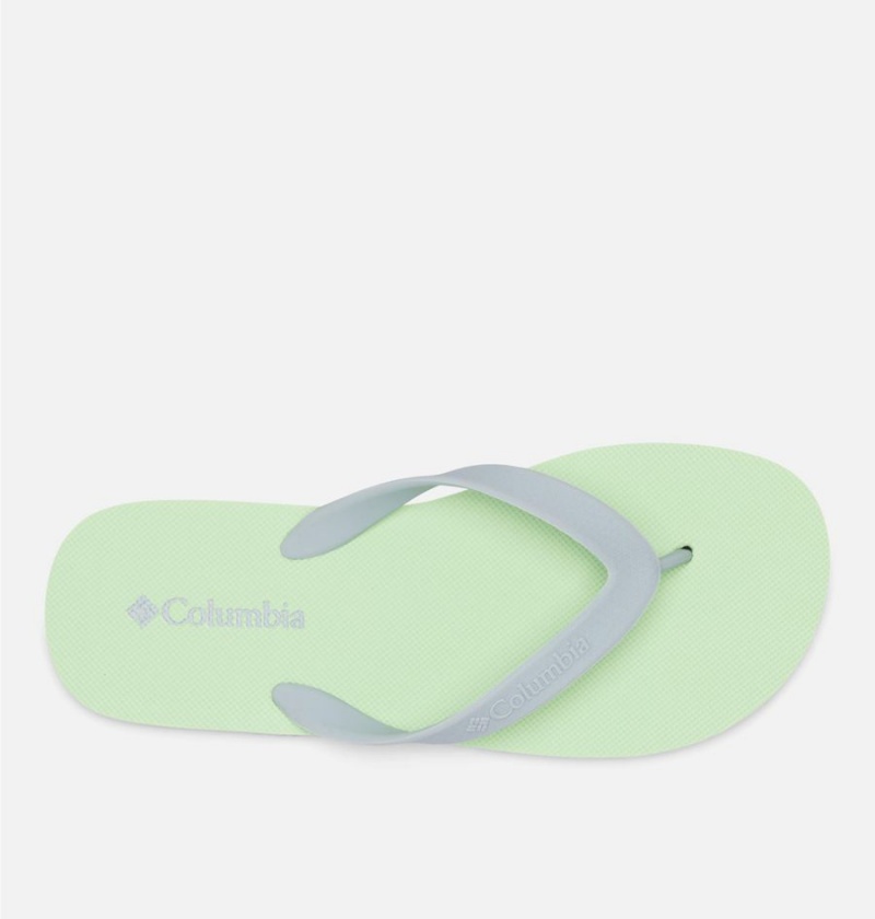 Columbia Sun Trek Flip Flop Women's Sandals Green | ALHVYE-509