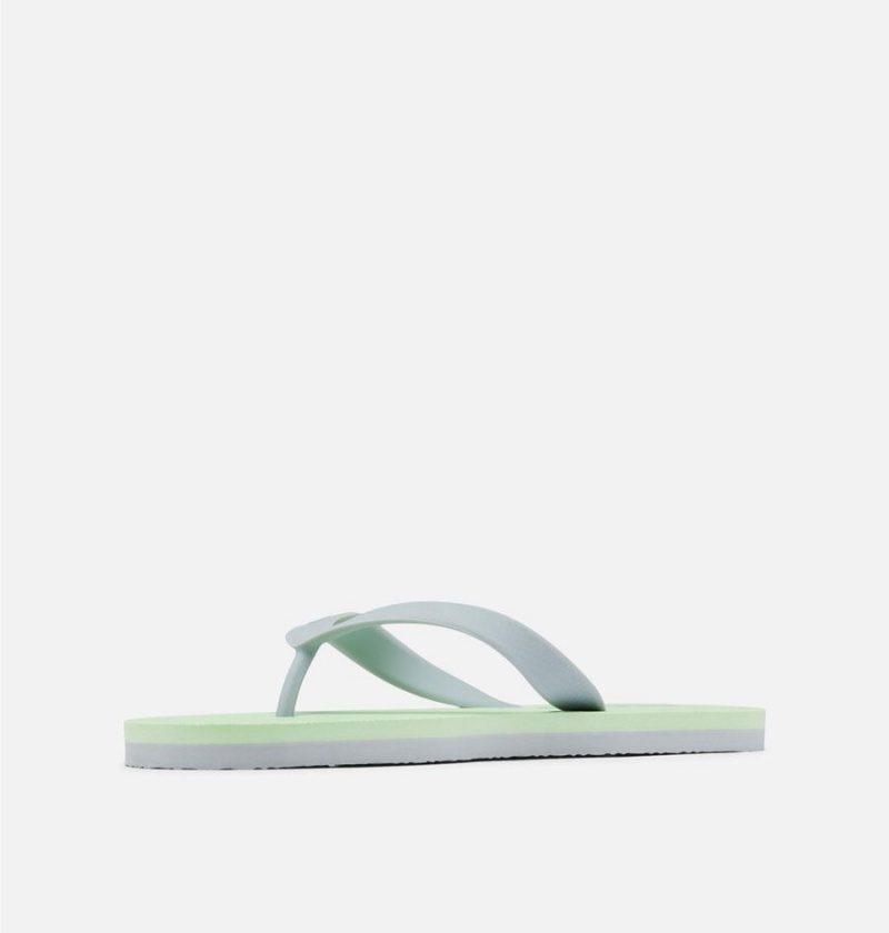 Columbia Sun Trek Flip Flop Women's Sandals Green | ALHVYE-509