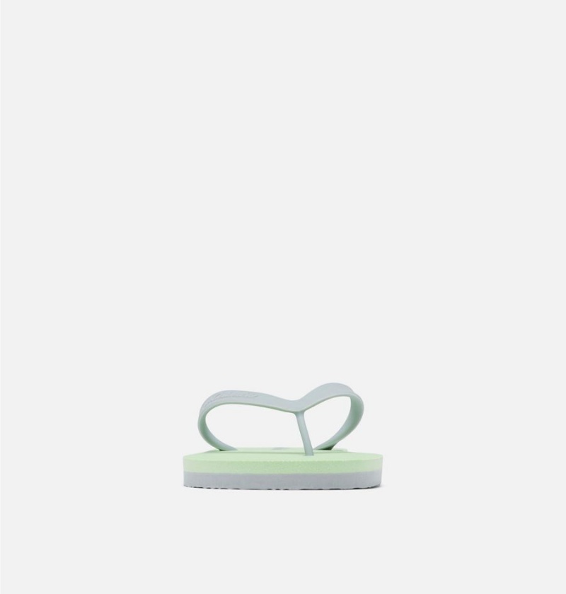 Columbia Sun Trek Flip Flop Women's Sandals Green | ALHVYE-509