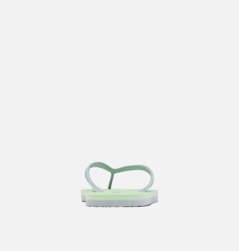 Columbia Sun Trek Flip Flop Women's Sandals Green | ALHVYE-509