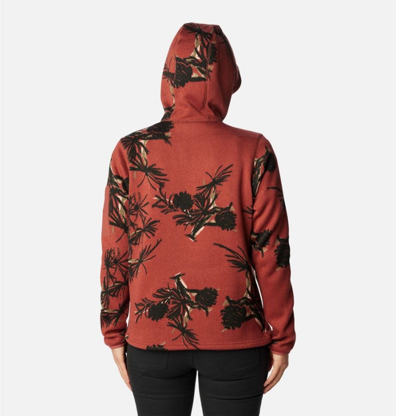 Columbia Sweater Weather Fleece Pullover Women's Hoodie Coral | FOWURT-520