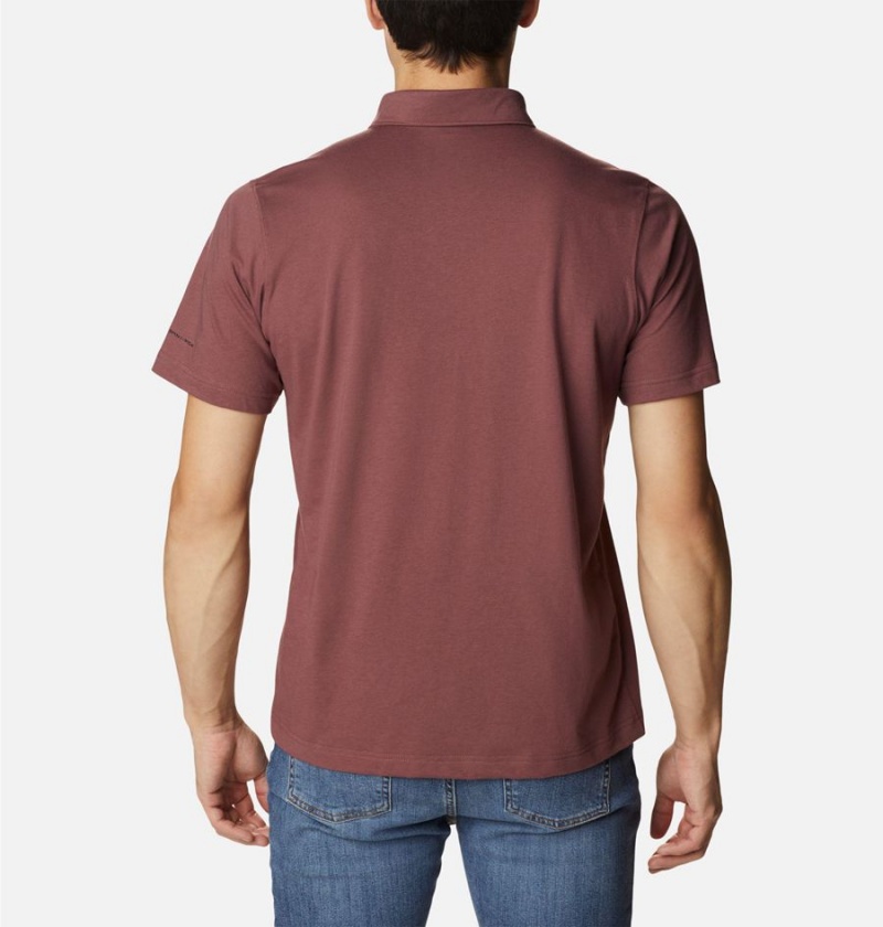 Columbia Thistletown Hills Men's Polo Shirt Brown | VIHKEO-579