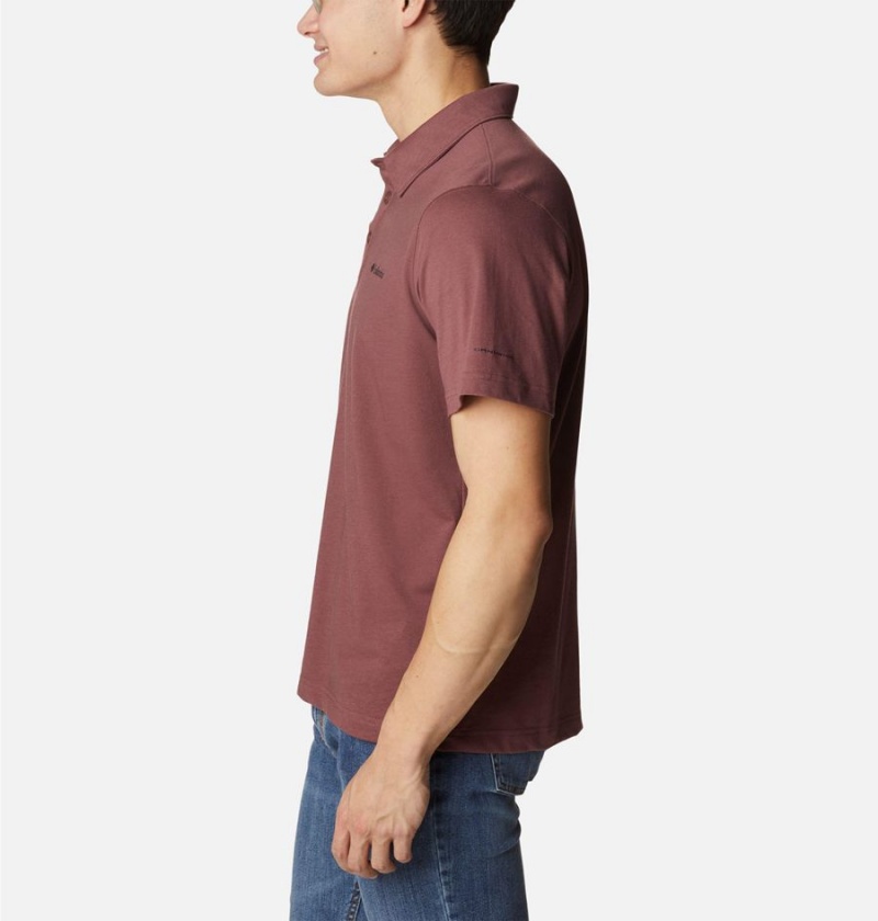 Columbia Thistletown Hills Men's Polo Shirt Brown | VIHKEO-579