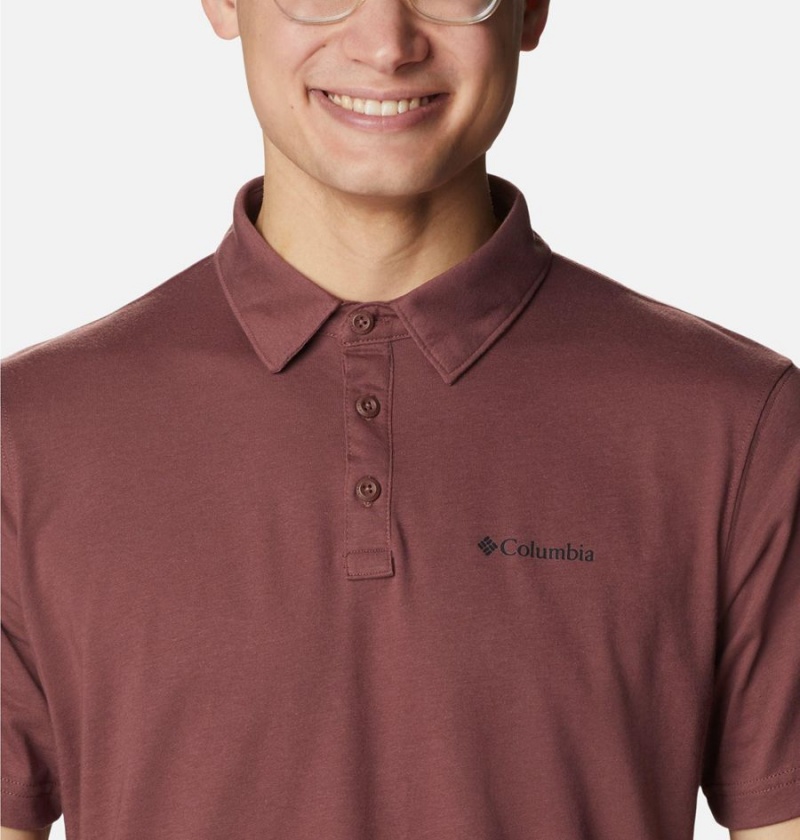 Columbia Thistletown Hills Men's Polo Shirt Brown | VIHKEO-579