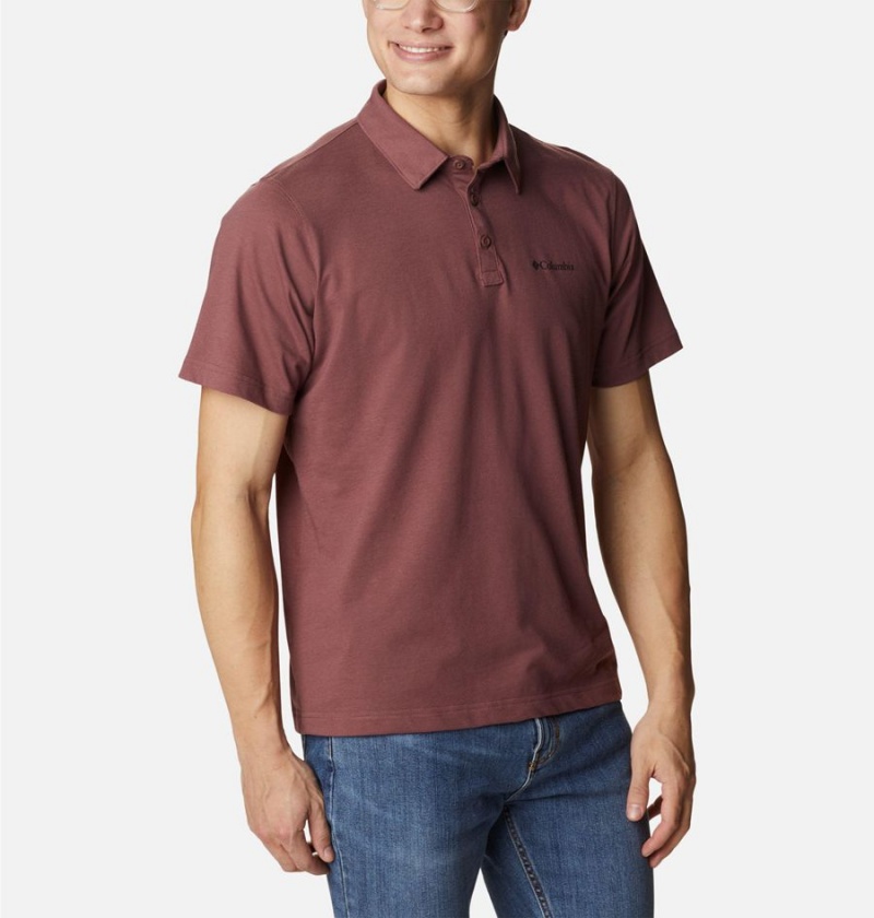 Columbia Thistletown Hills Men's Polo Shirt Brown | VIHKEO-579