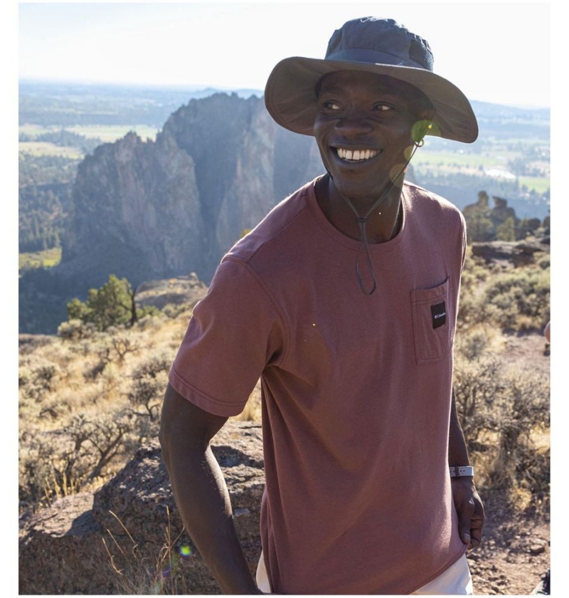 Columbia Thistletown Hills Pocket Men's T-Shirt Brown | GZAUDK-678