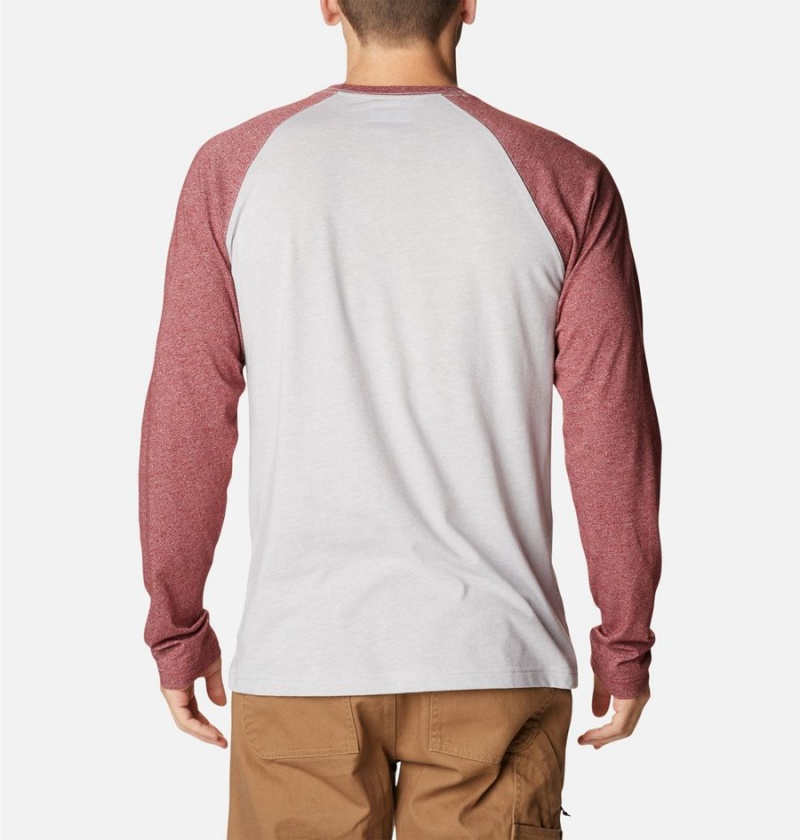 Columbia Thistletown Hills Raglan Men's T-Shirt White | AXJGEO-342