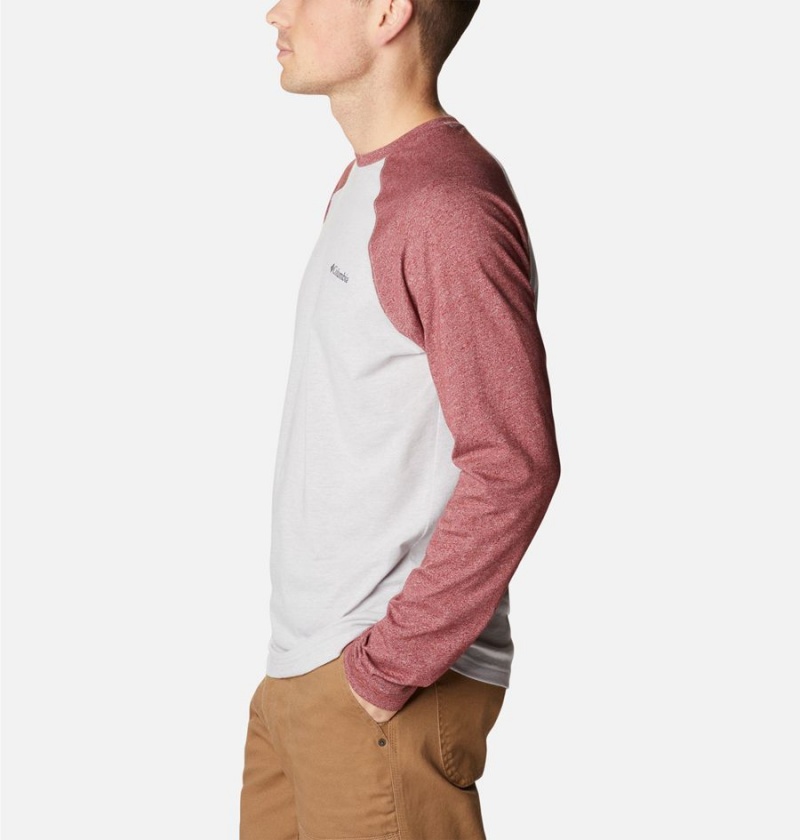 Columbia Thistletown Hills Raglan Men's T-Shirt White | AXJGEO-342