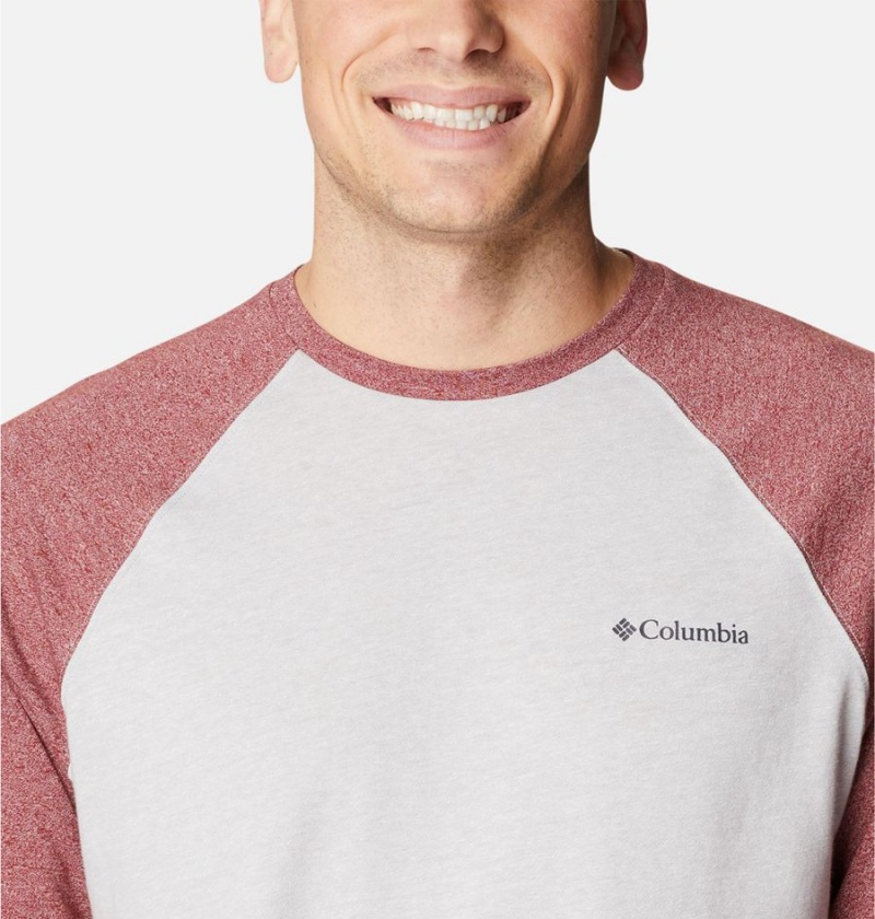 Columbia Thistletown Hills Raglan Men's T-Shirt White | AXJGEO-342