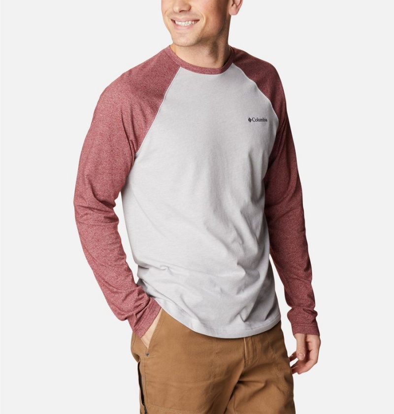Columbia Thistletown Hills Raglan Men's T-Shirt White | AXJGEO-342