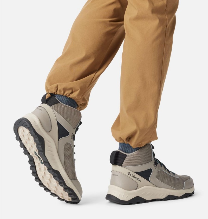 Columbia Trailstorm Ascend Mid Waterproof Men's Hiking Shoes Beige | SLMPHY-294