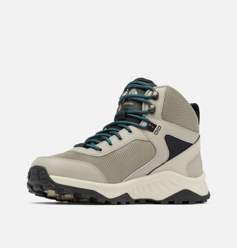 Columbia Trailstorm Ascend Mid Waterproof Men's Hiking Shoes Beige | SLMPHY-294