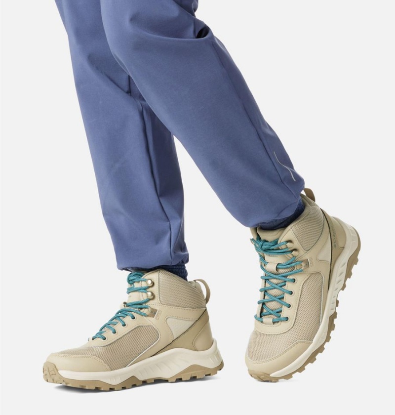 Columbia Trailstorm Ascend Mid Waterproof Women's Hiking Shoes Beige | OLRBYX-842