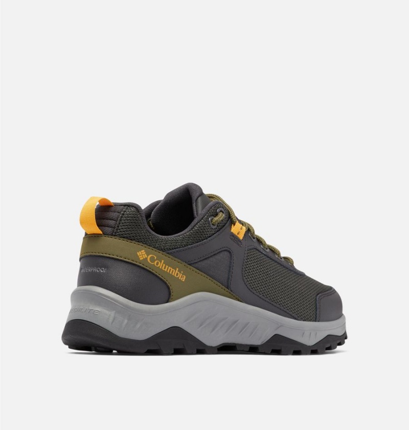 Columbia Trailstorm Ascend Waterproof Men's Hiking Shoes Grey | WVQEBU-205